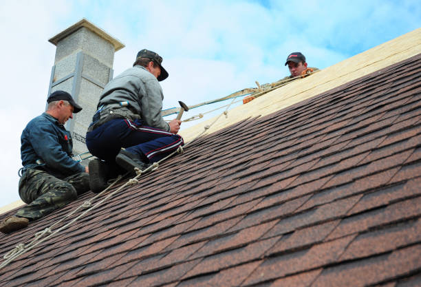 Best Roof Gutter Cleaning  in Bellville, OH