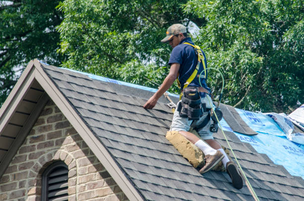 Best Roof Maintenance Services  in Bellville, OH